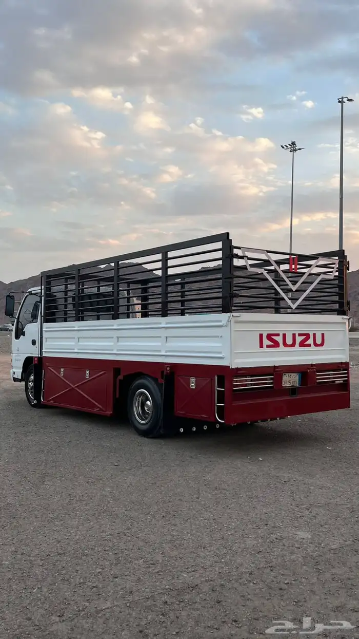 دينا ايسوزو 0