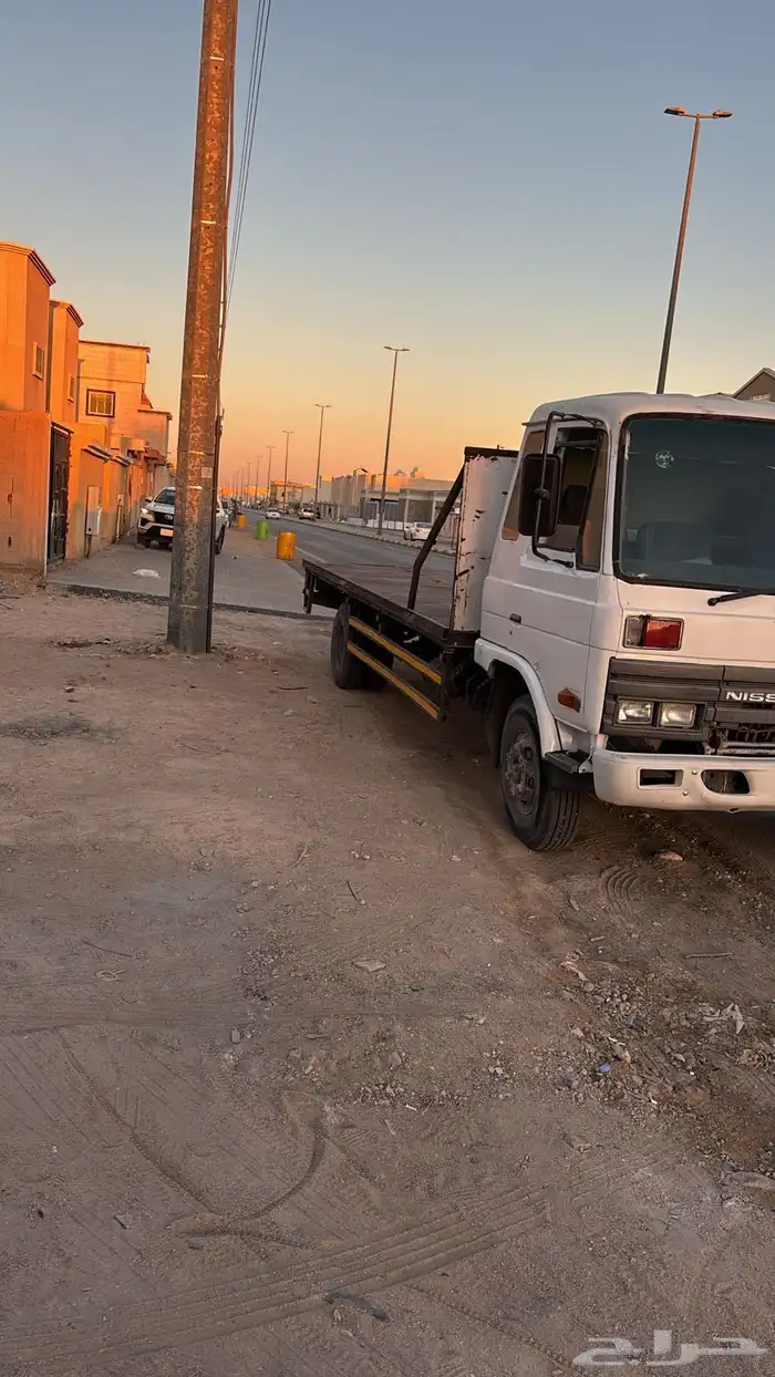 دينا يود مديل 96 2