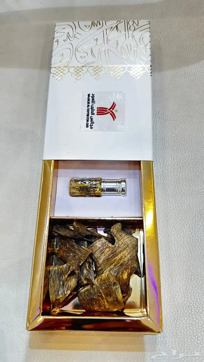 عود كينامي طبيعي مستزرع 0