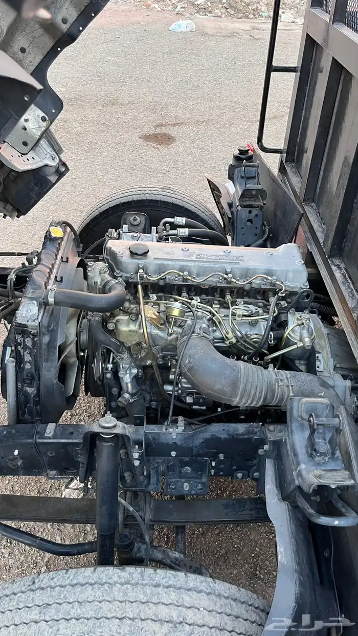 دينا ايسوزو 12