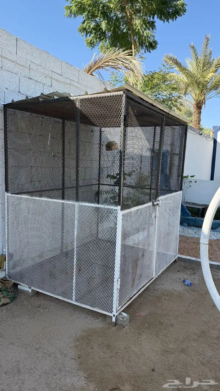 شبك طيور وحمام 0