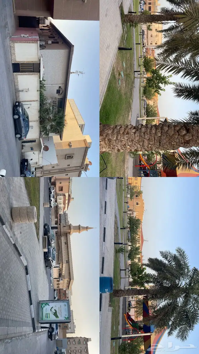 للبيع مكون من دورين منفصله 0