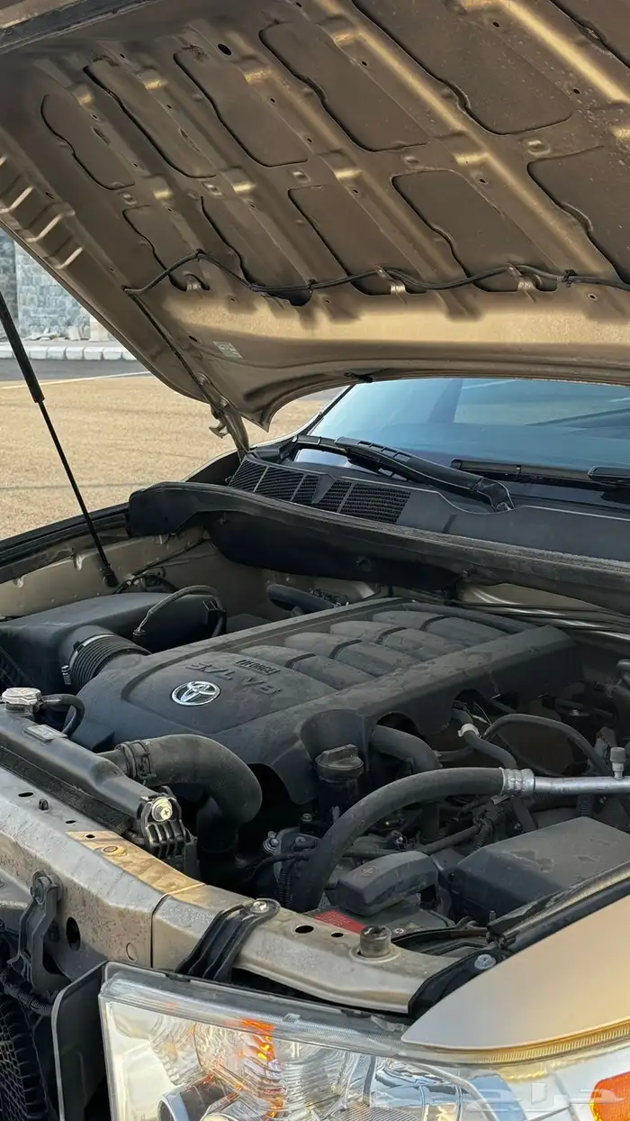 سكويا 2014 نظيف 2