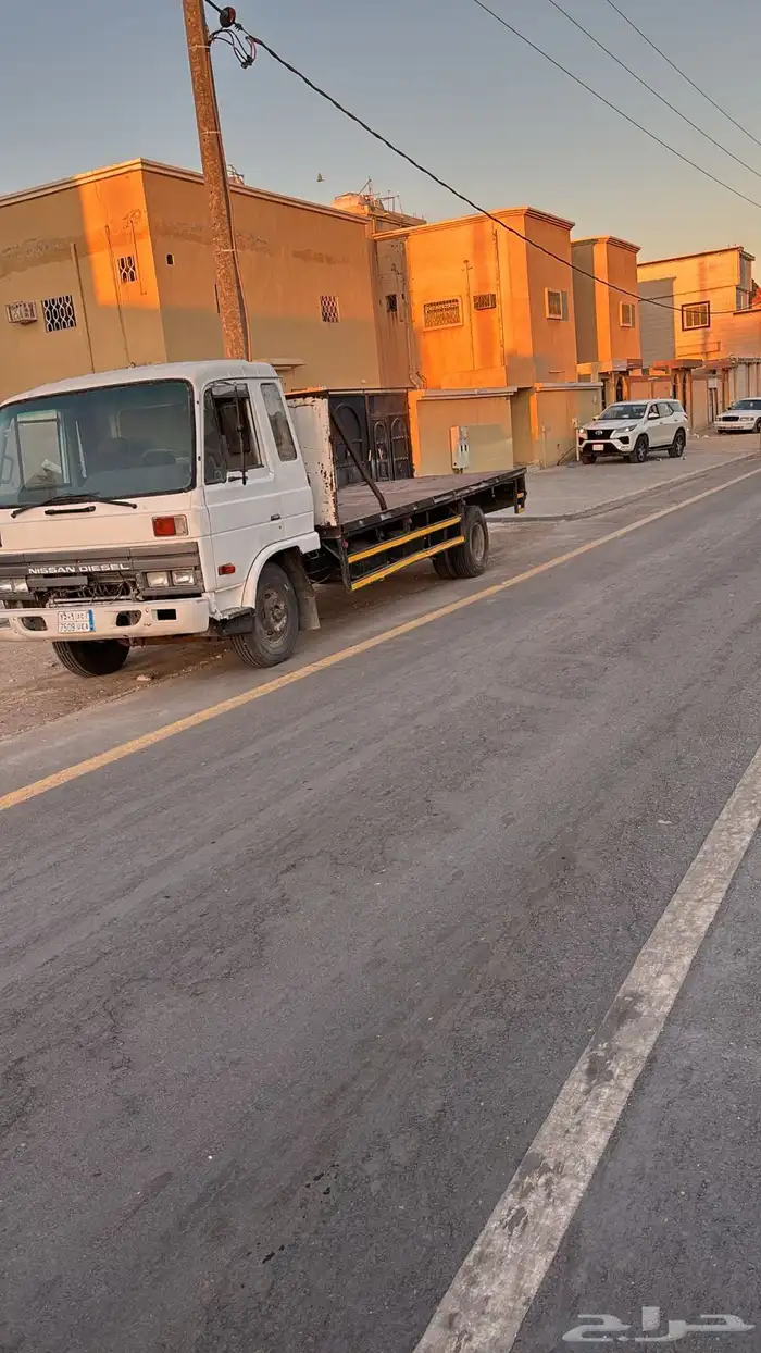 دينا يود مديل 96 1