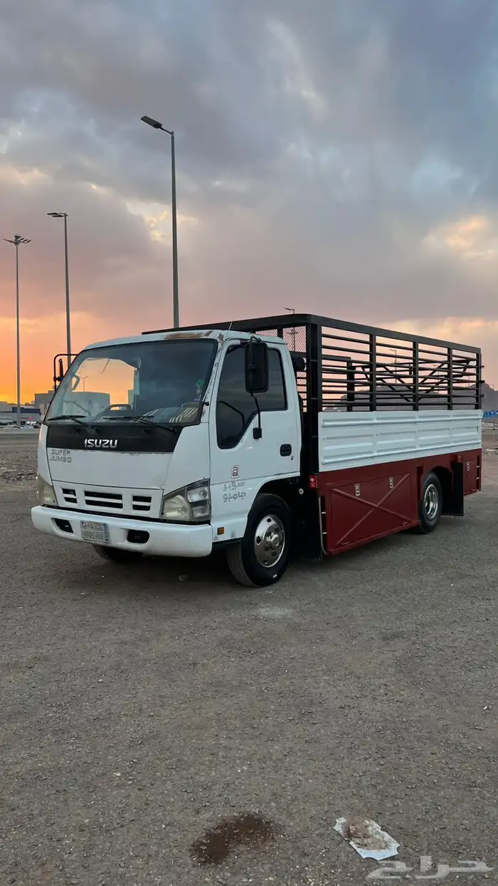 دينا ايسوزو 1