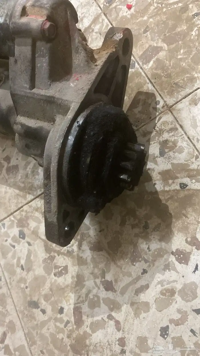 قطع دينة دنه دينا 4