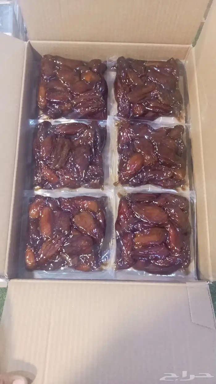 تمر صفري بيشه 1