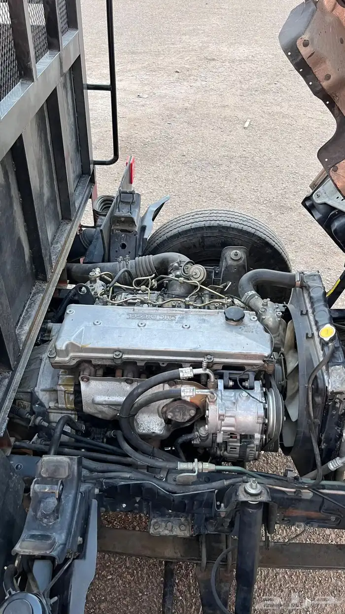 دينا ايسوزو 13