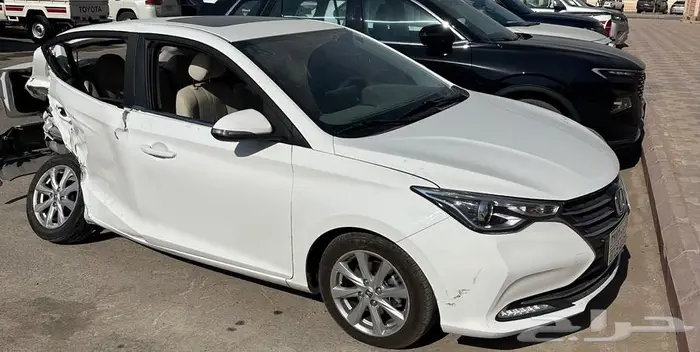 شانجان السفن 2025 مصدومه 2