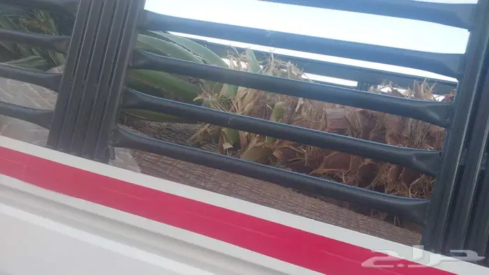 توريد وزراعه النخيل 0