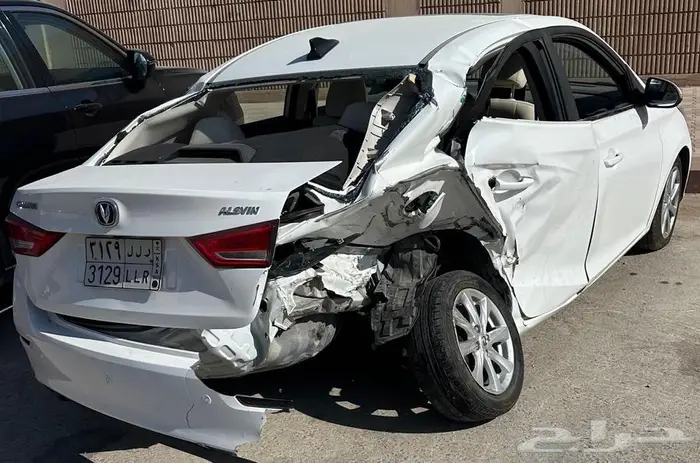 شانجان السفن 2025 مصدومه 1