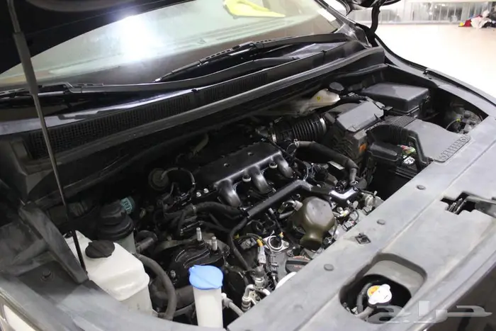 كرنفال 2020 اسود بطاقة جمركيه بوية بلده 71