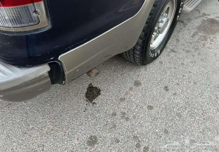 فوارد أكس كيرجن أكس كورجن وحش فورد مخزن فل لميتد ممكن بدل 38