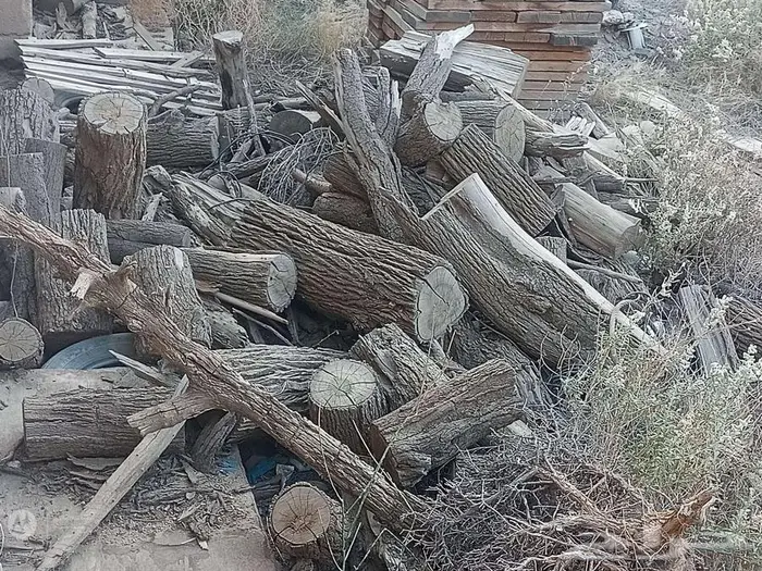 أثل محلي للبيع 3