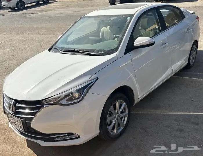 شانجان السفن 2025 مصدومه 3