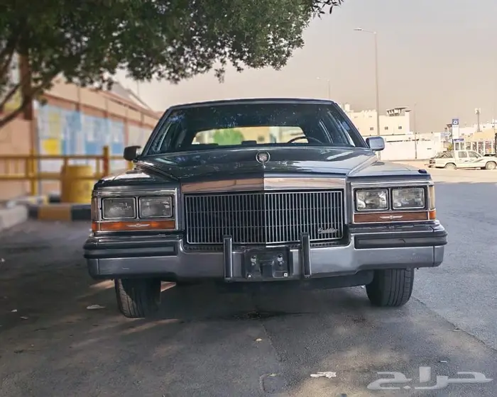 كدلك 1989 عداد قليل جدا 0