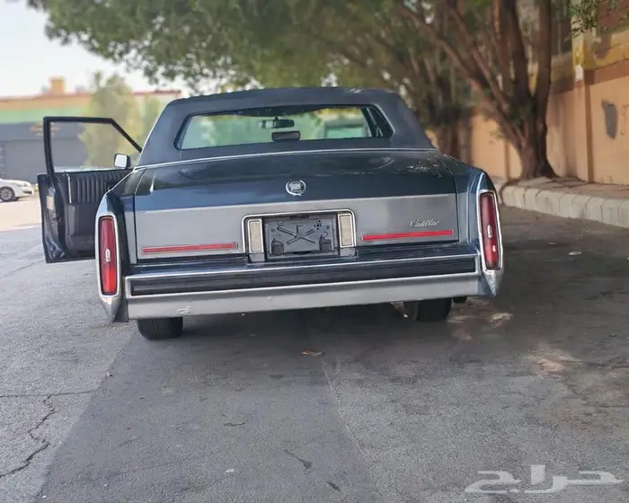 كدلك 1989 عداد قليل جدا 1