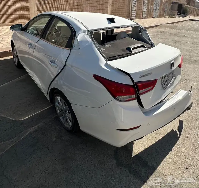 شانجان السفن 2025 مصدومه 4