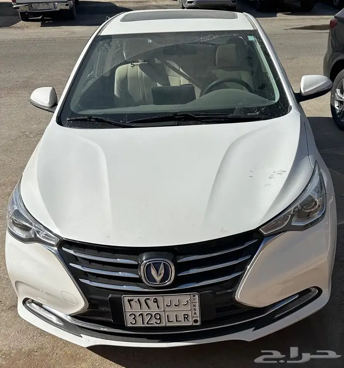 شانجان السفن 2025 مصدومه 0