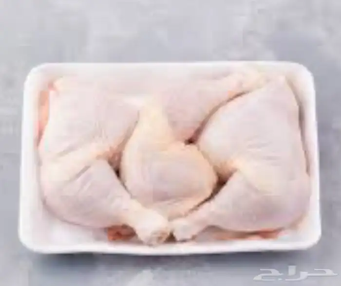 دجاج لاحم ذبح حسب الطلب 2