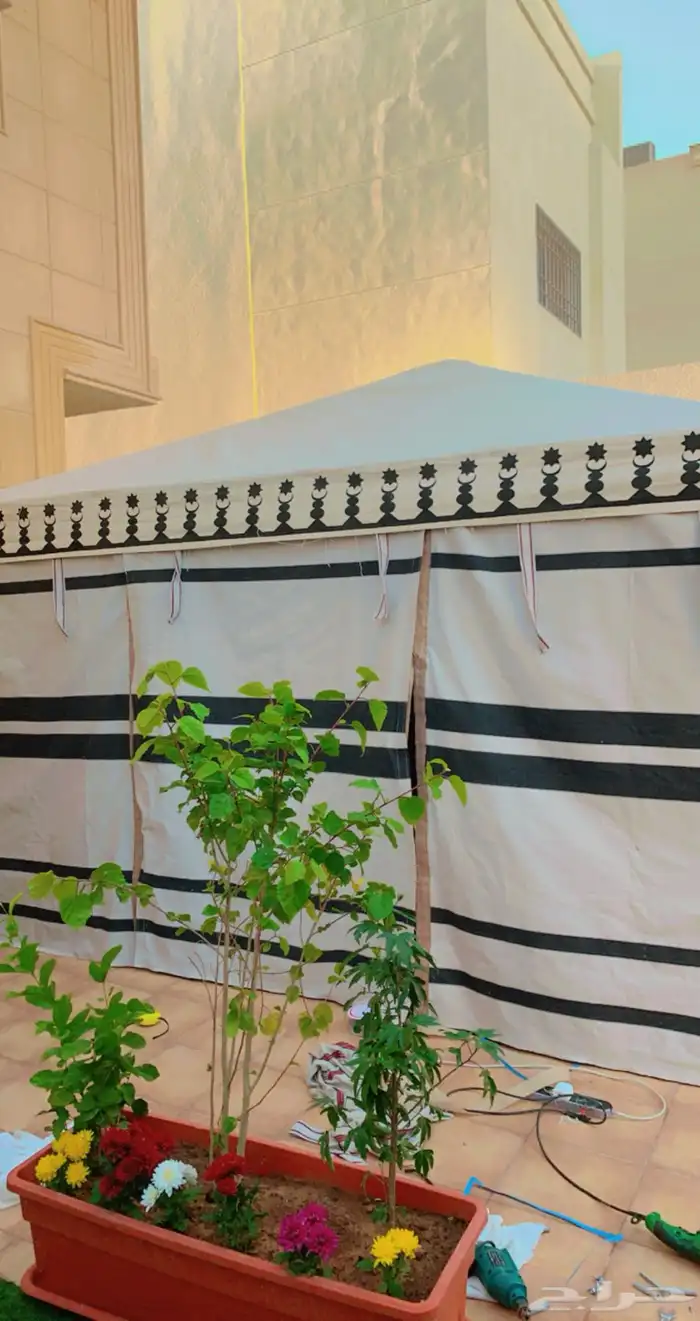 خيام خيمة الشيخة خيمة الصقور بيوت شعر 6