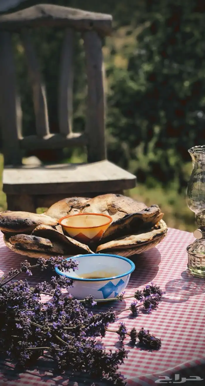 مزرعة الطريق القديم تقدم لك تجربه جديده للسياحه الشتويه. 3