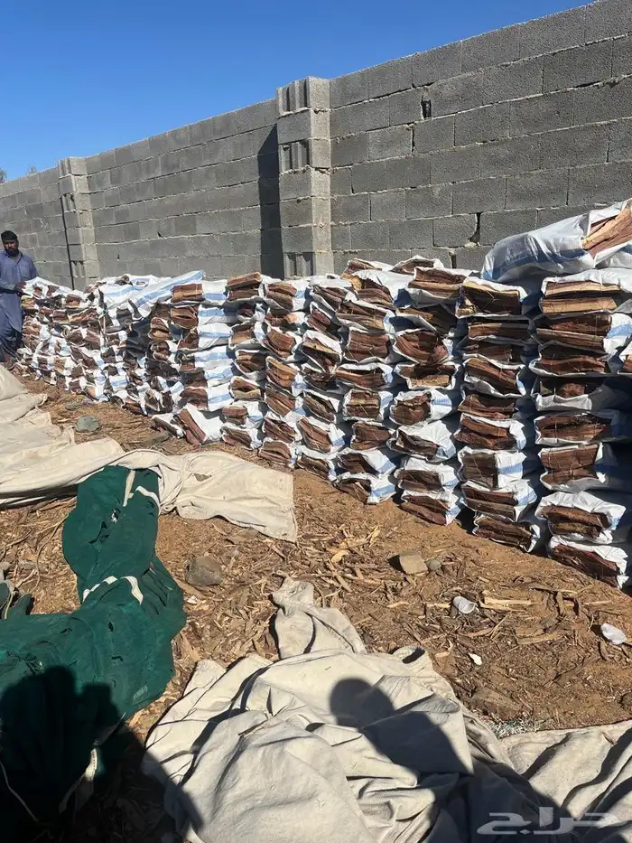 مستورد المدينه شلايخ خيشه تجي 13 كيلو ناشف شرط 5