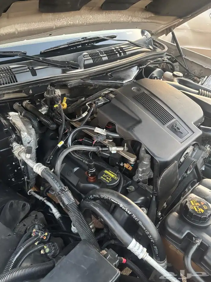 كراون فكتوريا 2011 للبيع سعودي 44