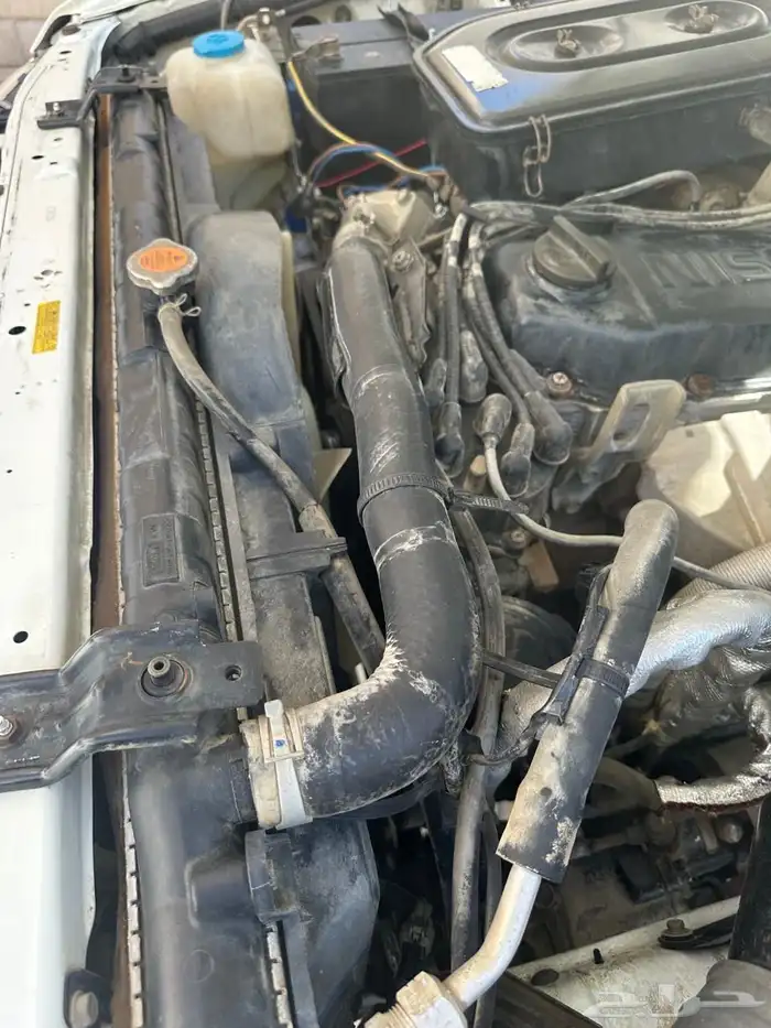 باترول (2003) 5