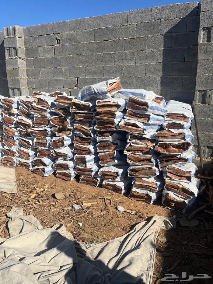 مستورد المدينه شلايخ خيشه تجي 13 كيلو ناشف شرط 4