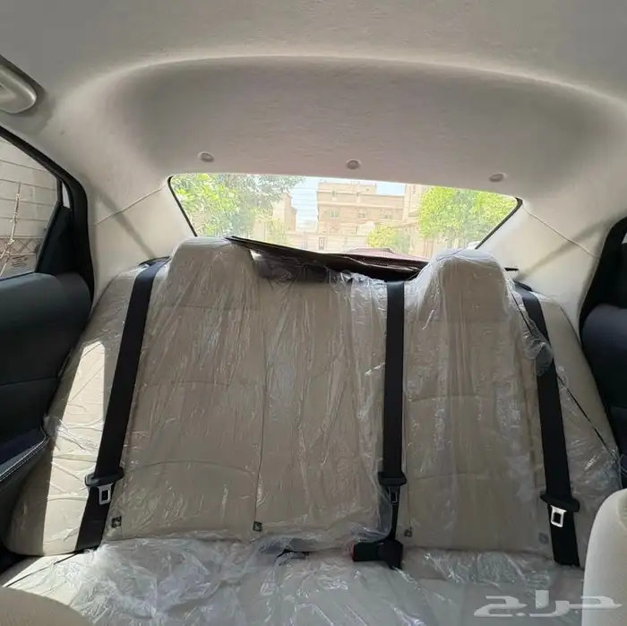 شانجان السفن 2024 6