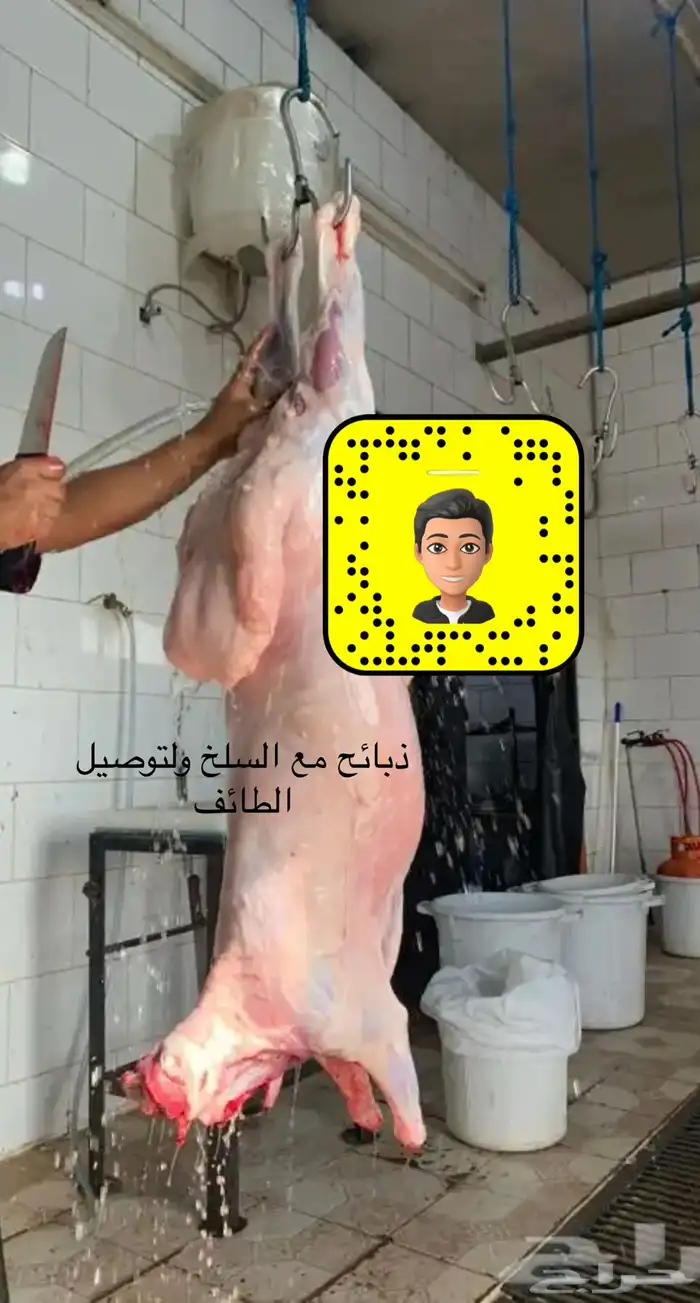 ذبيحتك لباب بيتك تقسيط 3