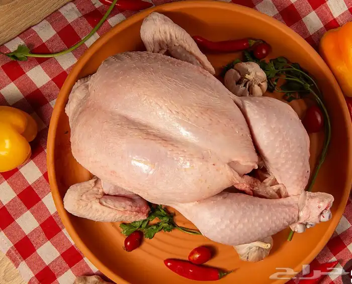 دجاج لاحم ذبح حسب الطلب 1