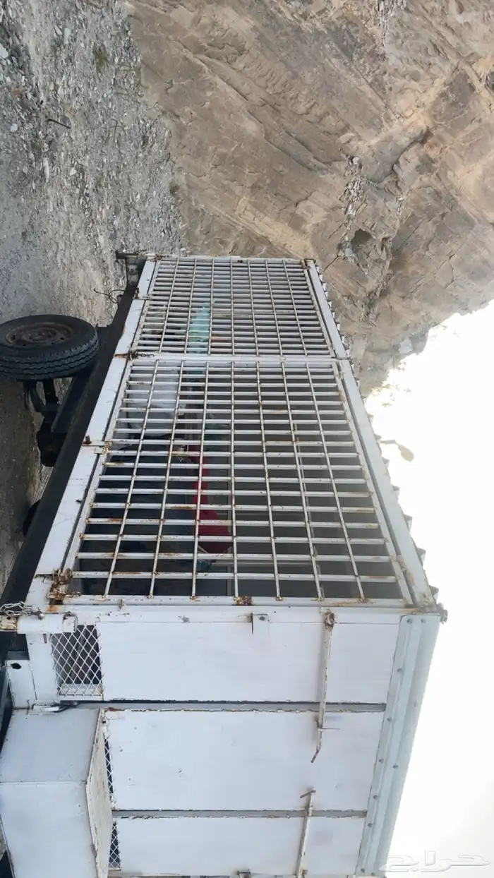 عربيات نحل للبيع 9