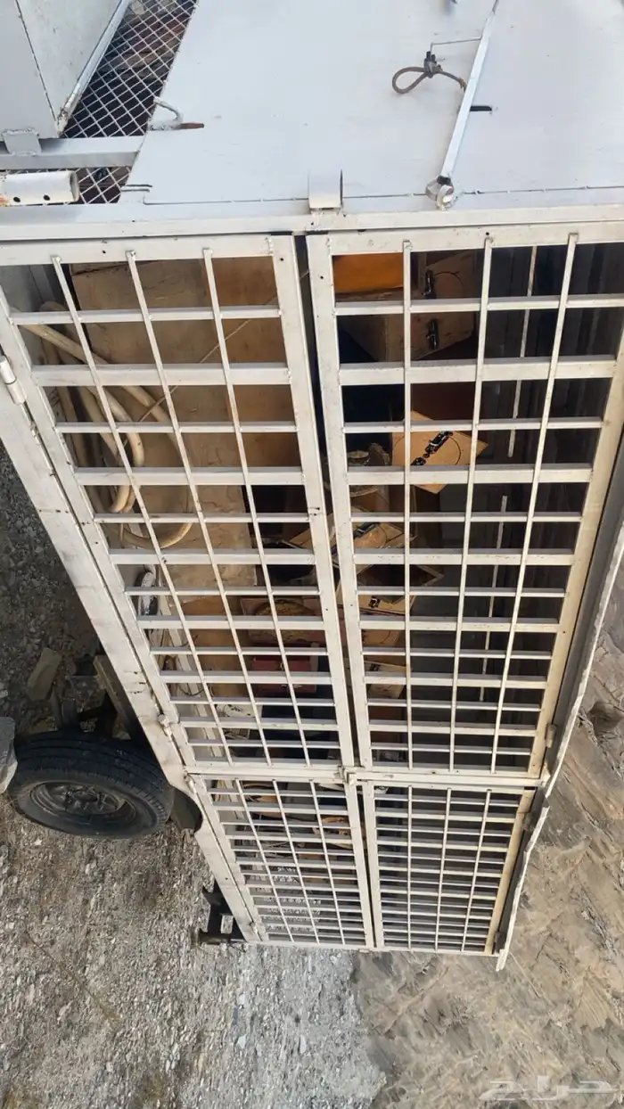 عربيات نحل للبيع 6