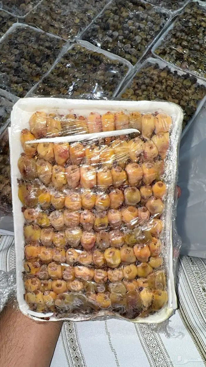 بقلاوه شيوخ سكر 0