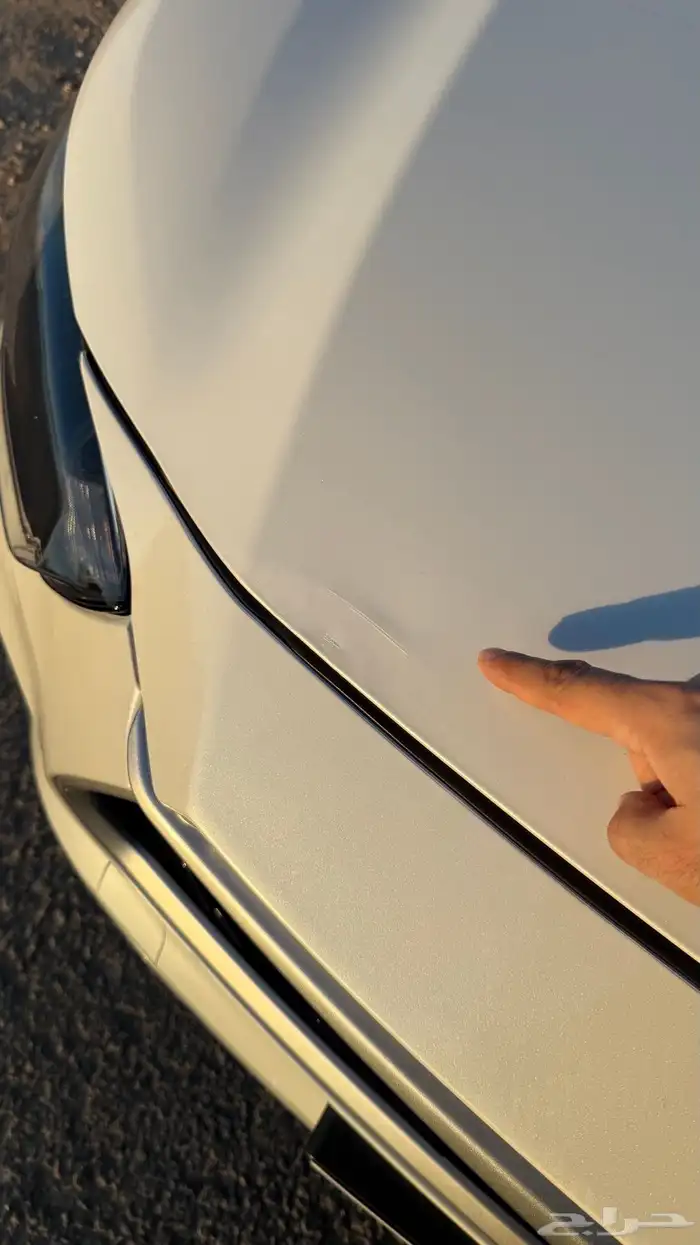 هايلندر 2020 استاندر 16