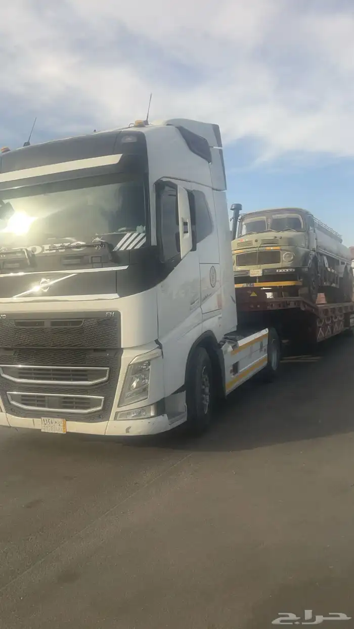 لوبد متواجد حرض 0