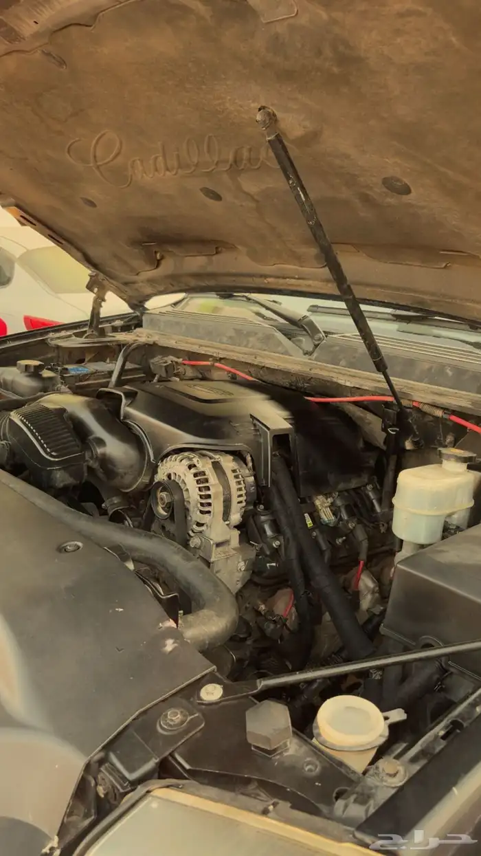 مكينه سكاليد ودينالي 2007 0