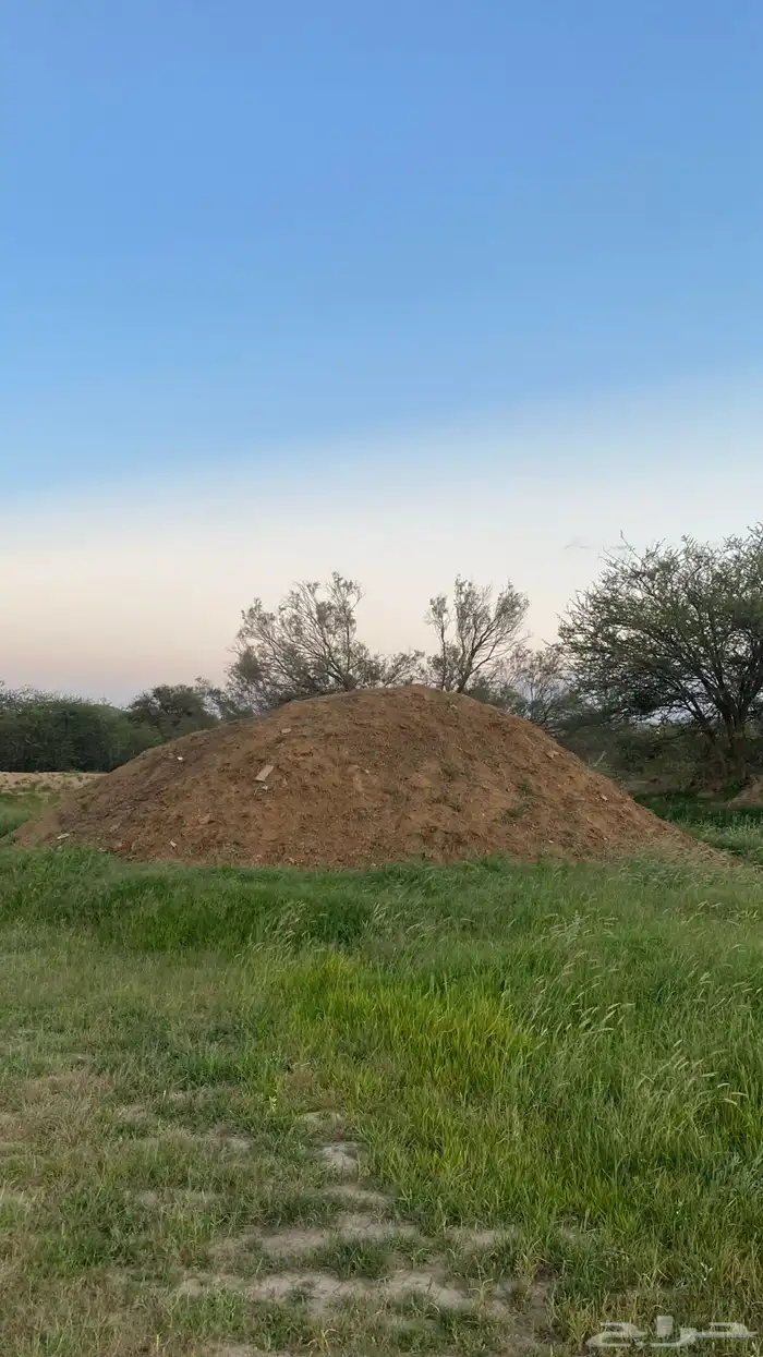 سماد غنم قديم 0