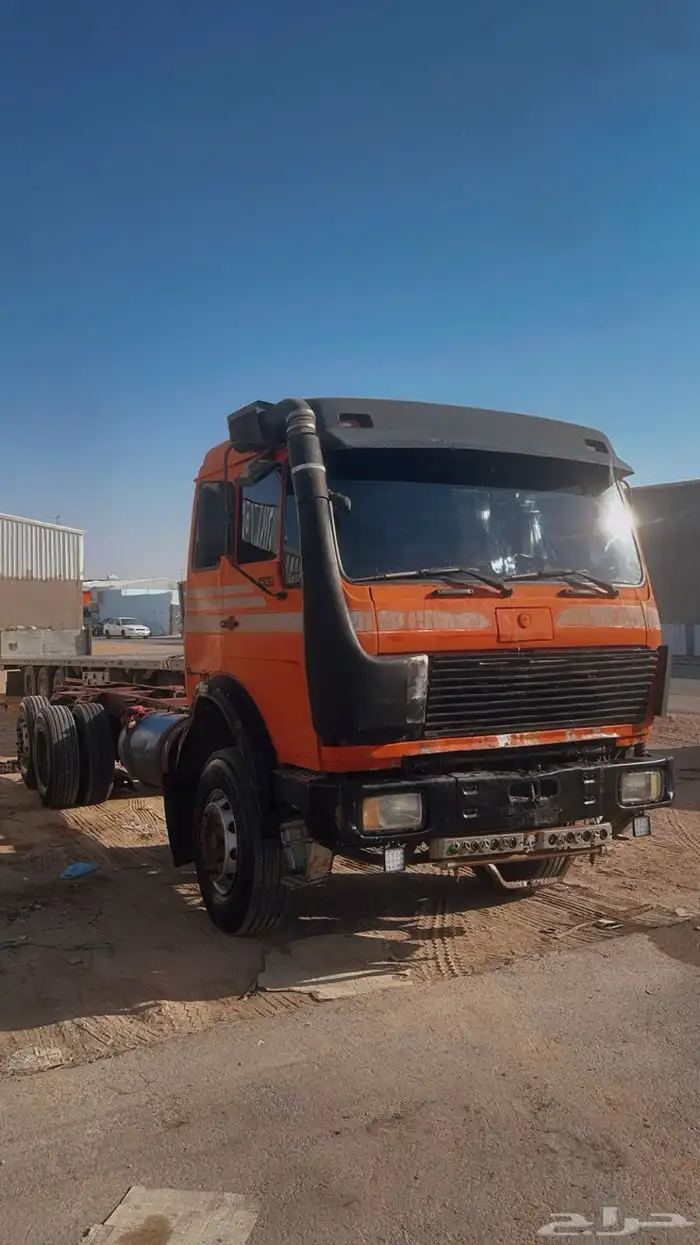 سقس اللبي عشراوي 1