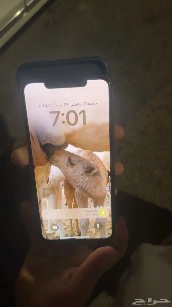 ايفون اكس ماكس 1