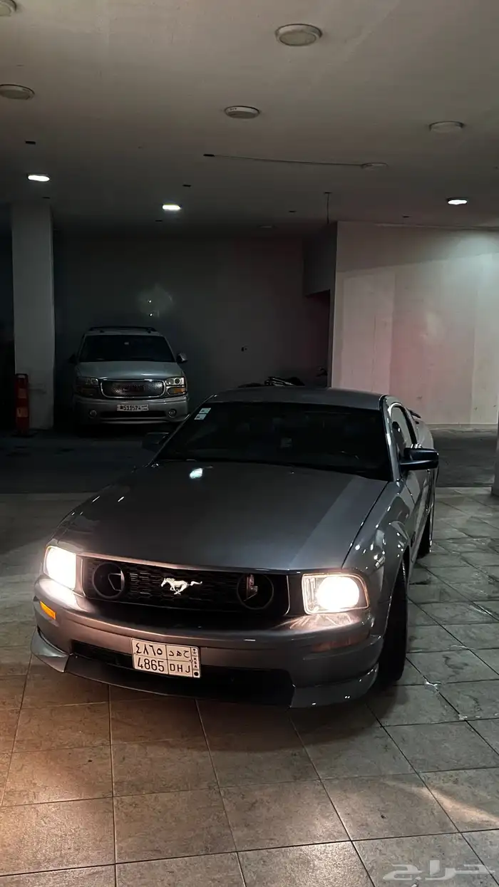 موستنج 2007 10