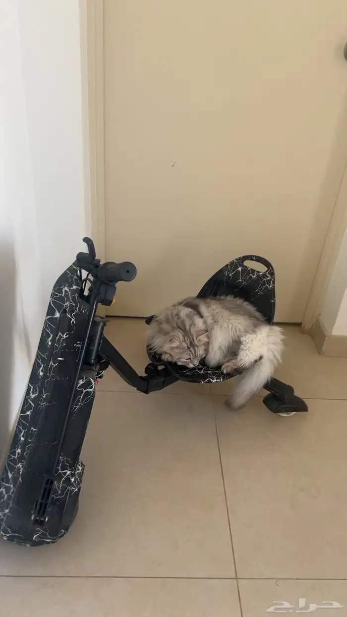 سكوتر درفت نظيف 0