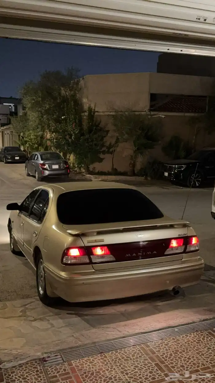 مكسيما للبيع 1