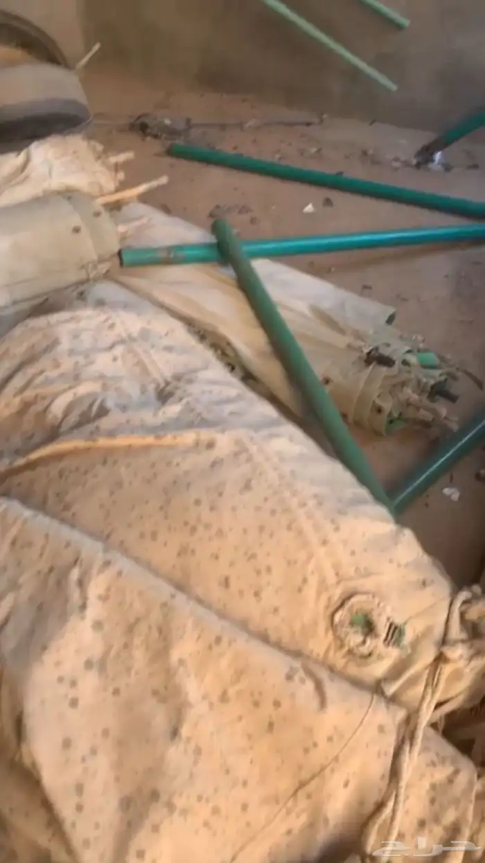 للبيع خيمه عمودين فيها قطوع تصلح ذريات للحلال 2