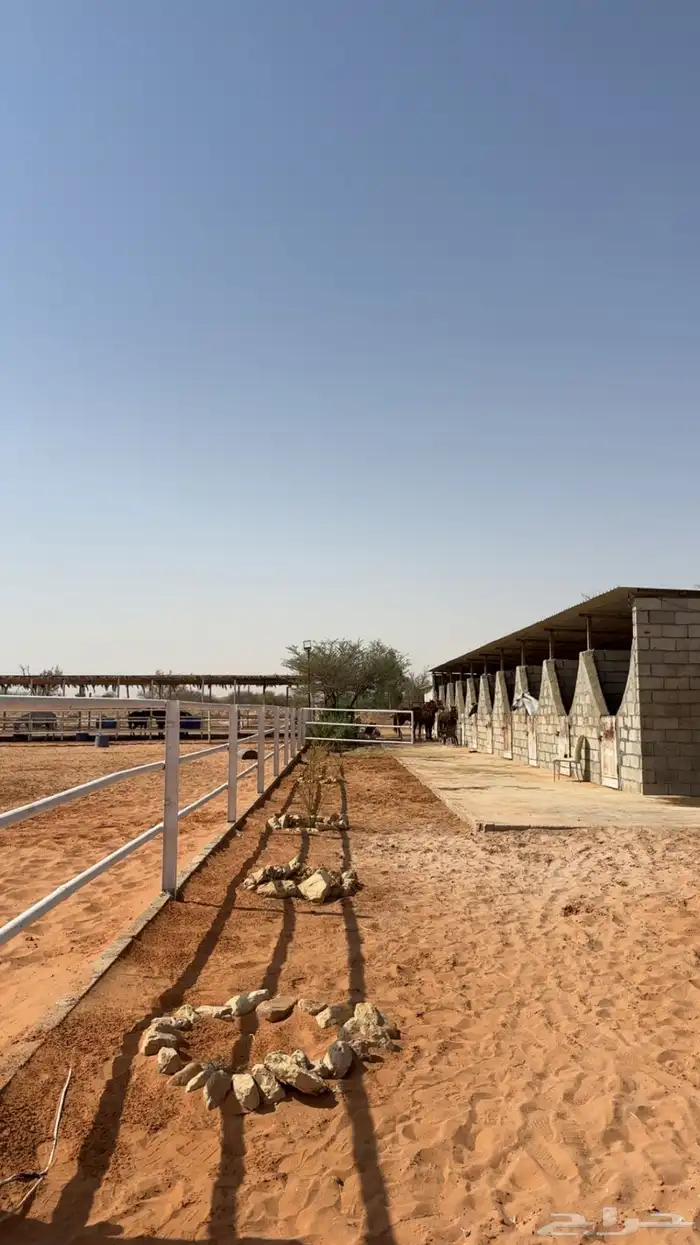 إيواء خيل ملهم 10