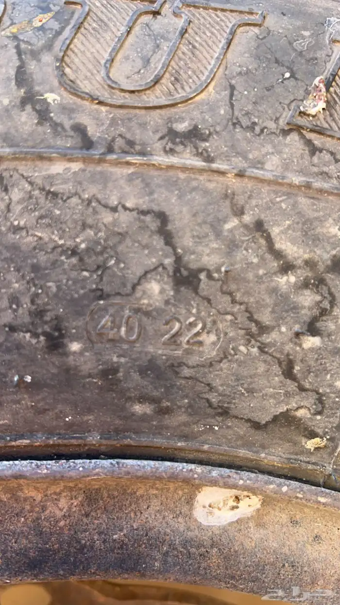 جنوط شنبر مع كفرات 3