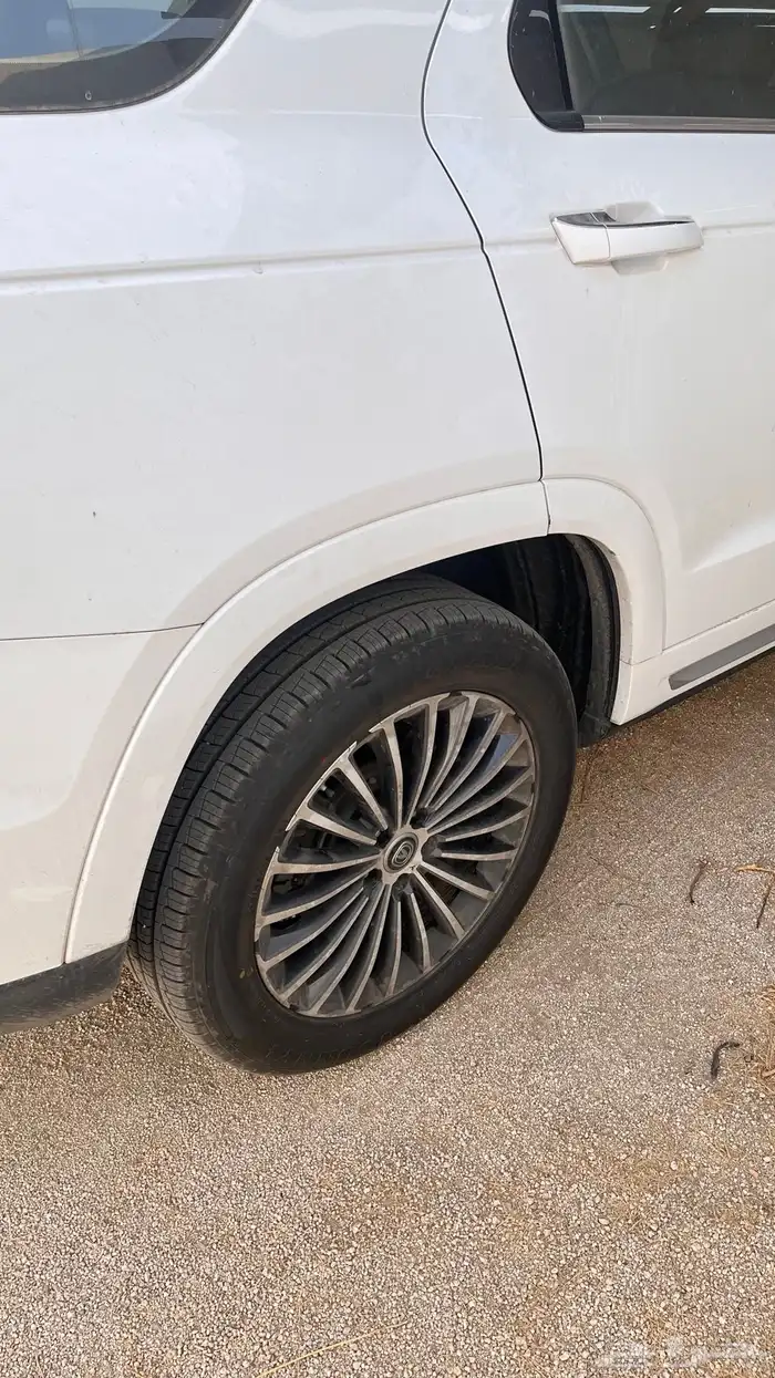 شانجان رويال 2021 5