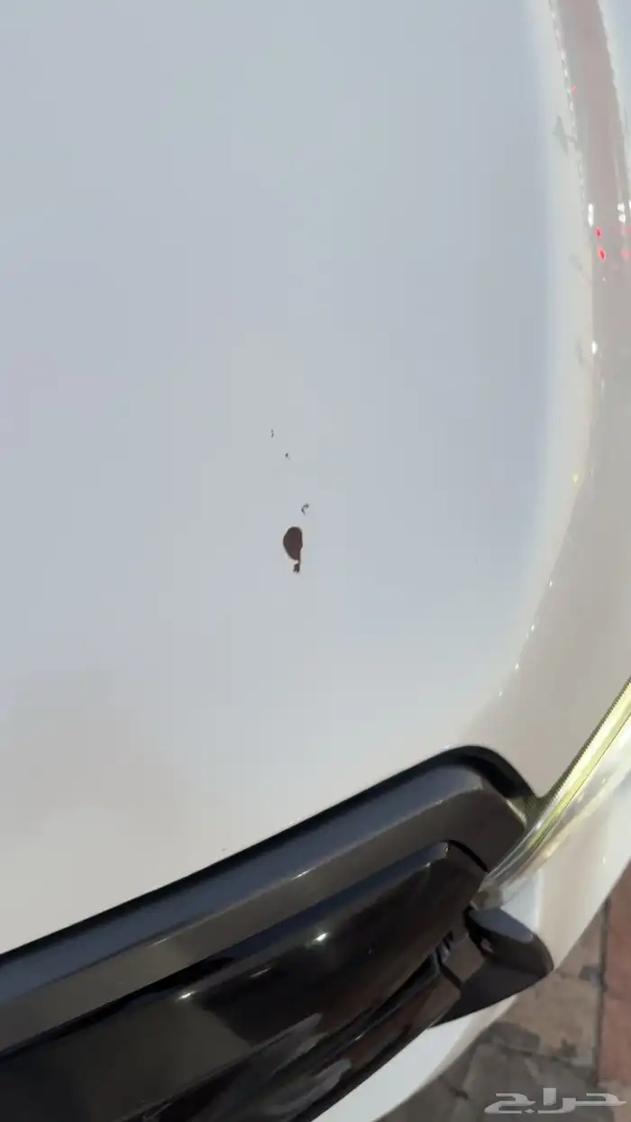 للبيع سيزو ديماكس موديل 2022 7